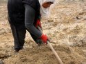 Doğu Anadolu'da 13 milyon fidan toprakla buluşturulacak