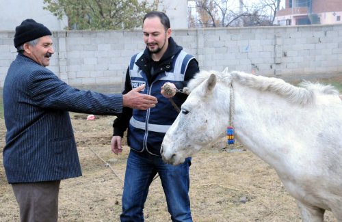 Polis, çalınan atı sahibine teslim etti