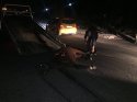 Erciş'te otomobil ata çarptı: 1 yaralı