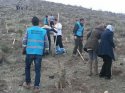 Beypazarı Belediyesi 2 bin fidanı toprakla buluşturdu