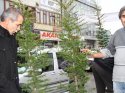 Erciş'te refüjler ağaçlandırıldı