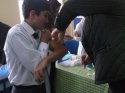 Boğazlıyan'da aşı kampanyası