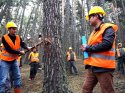 Bolu Orman Bölge Müdürlüğü, yeni üretim sezonuna hazırlanıyor