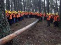 Bolu Orman Bölge Müdürlüğü, yeni üretim sezonuna hazırlanıyor