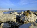 Van Gölü çekilince tarihi kalıntılar ortaya çıktı