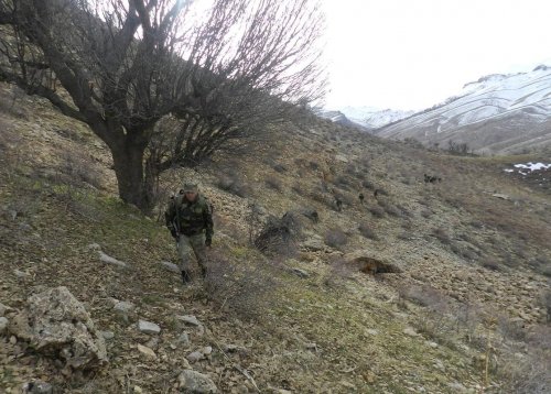 Siirt'te PKK'ya ait mühimmat bulundu