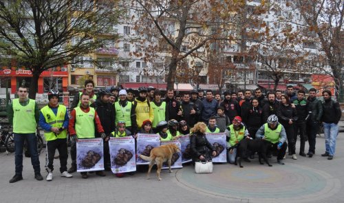 Eskişehir'de vatandaşlar, sokak hayvanlarına yardım etti