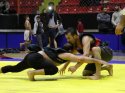 Kapışmalı Aba Güreşleri Türkiye Şampiyonası