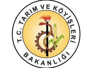 Bakanlıktan beklenen yasaklama geldi