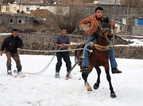 Kars'ta atlarla kar sörfü