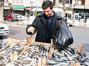  Ucuz balığa lodos molası