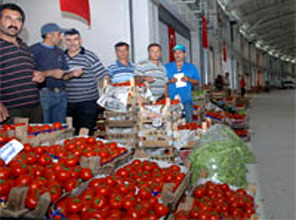 Türkiye'nin örnek hali