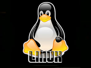 Linux'a dev destek