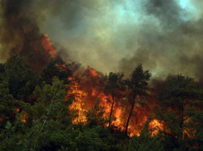 Antalya'daki yangın söndürüldü 