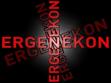 Ergenekonun son umudu