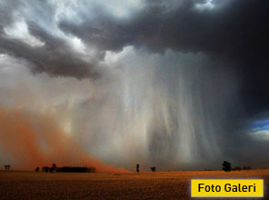 Ödül alan muhteşem fotoğraflar - Foto