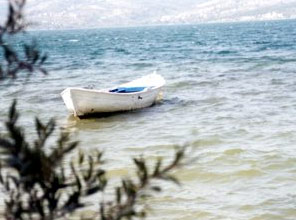 4 balık türü yok olmaktan kurtuldu