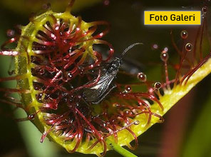 Görenleri şoke eden fotoğraflar - Foto