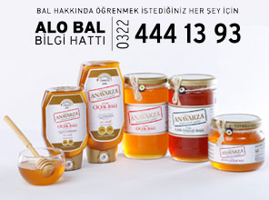 'Alo Bal Bilgi Hattı' kuruldu