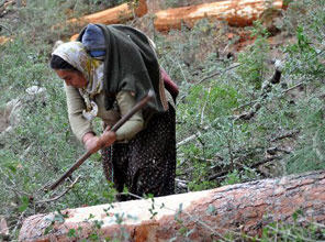 Bebekleri sırtlarında, baltaları ellerinde