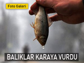 Trakya'da yağışlar yolda 