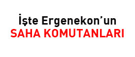 İşte Ergenekonun saha komutanları