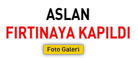 ASLAN FIRTINAYA KAPILDI - FOTO