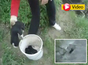 Dünyayı ayağa kaldıran video - Video