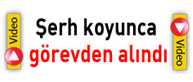 sadrg