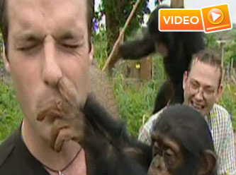 2010'un ilginç görüntüleri - Video