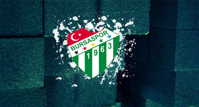 Timsah, evinde yara saracak