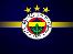 Fenerbahçe Kulübü'nden CEV açıklaması