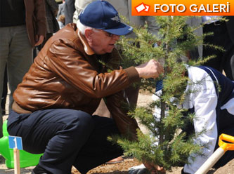 Işık Koşaner fidan dikti - Foto