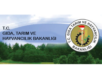 Gıda, Tarım ve Hayvancılık Bakanlığı AB Uzman Yardımcısı Alımı