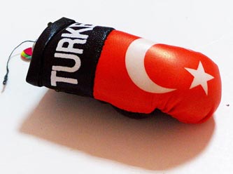 Milliler Macaristan'da ringe çıkacak