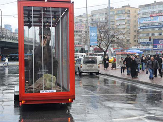 Köprüde dinazor görenler şaşırdı
