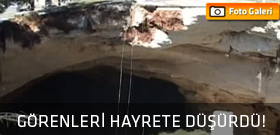 Görenleri hayrete düşürdü!