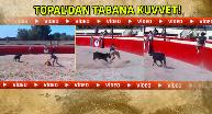 Mehmet Topal matador oldu