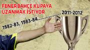 Fenerbahçe ve Bursaspor'un kupa karnesi