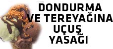 Dondurma ve tereyağına 'uçuş yasağı'