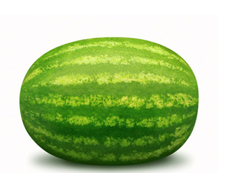 250610_karpuz.jpg