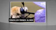 Bilim adamları bunu ilk kez başardı!