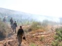 Diyarbakır'da dev operasyon