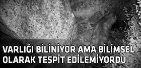 Yıllar sonra Adıyaman'da görüntülendi