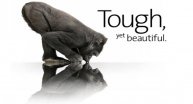 Gorilla Glass'ın yeni hedefi otomobiller!