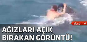 Dev köpek balığıyla beraber yüzdü!