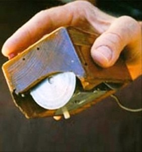 Dünyanın ilk faresi