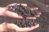 Zeytin posasından hayvan yemi