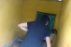 Emanet köpeklere dayaklı eğitim