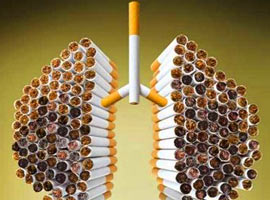 19 Mayıs tarihine dikkat!